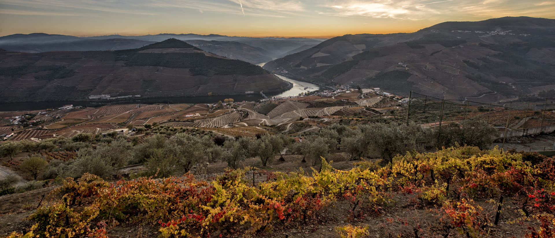 Vineyards on the terraced slopes of the Douro