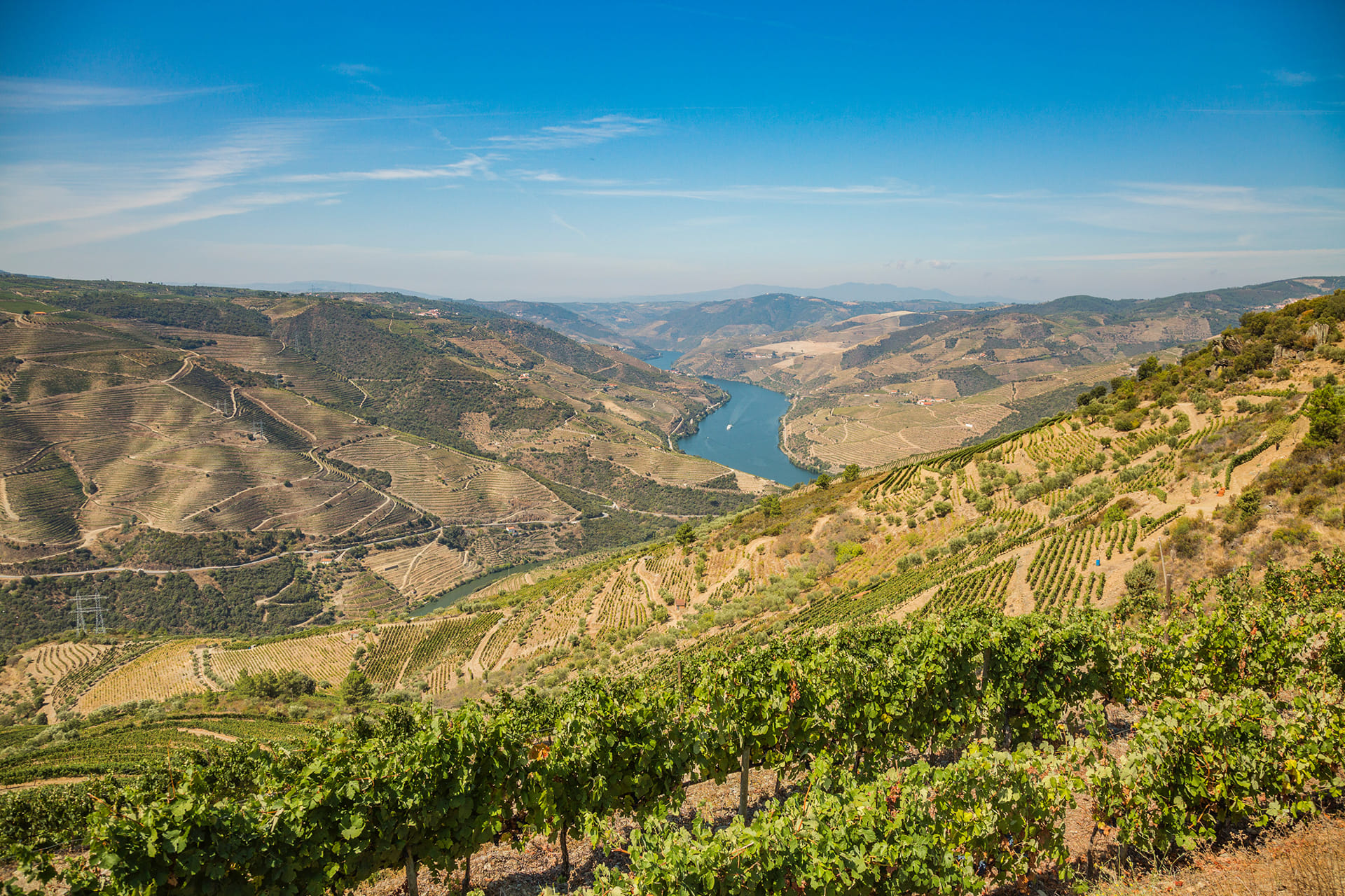 The wine landscape of the Douro